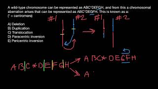 Translocation Paracentric inversion Pericentric inversion [upl. by Diskson70]