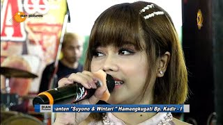 TATU GEDRUK DIDI KEMPOT • VIVI VOLETHA • SUPRA NADA REBORN LIVE TOYOGO [upl. by Buffy]