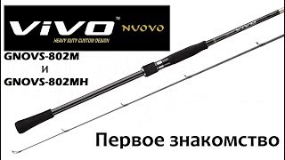 Первое знакомство с Graphiteleader VIVO NUOVO 802M и 802MH [upl. by Eiramlatsyrc]