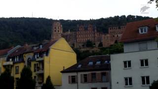 Das Partyschiff Heidelberg [upl. by Ayanet740]