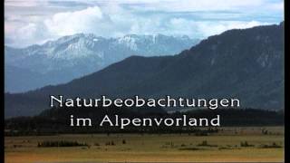 Das Alpenvorland in Oberbayern [upl. by Llertnor]