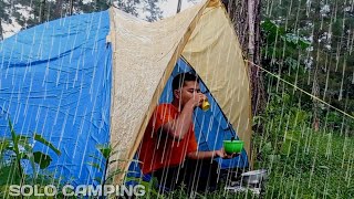 solo camping during heavy rain and storms sleeping in a very comfortable and relaxing tent [upl. by Tempa]