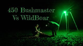 450 BushMaster vs Wild Boar [upl. by Ardnu]