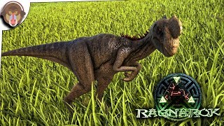 Ark Survival Evolved RAGNAROK  OVIRAPTOR TAME  S7E14 RAGNAROK DLC [upl. by Ardrey]