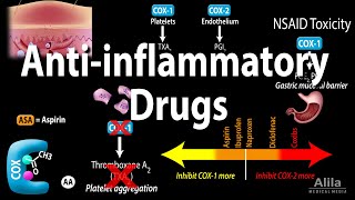 Introduction to SGLT2 Inhibition [upl. by Aikkan148]