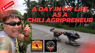 A DAY IN MY LIFE AS A CHILI AGRIPRENEUR [upl. by Iatnohs113]