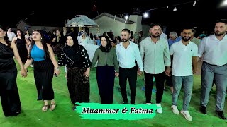 Muammer amp Fatma Düğün TöreniStranbej YusufZana Say amp Welat Taşpınar Cihanbeyli BaşaranVideo® [upl. by Garrek716]