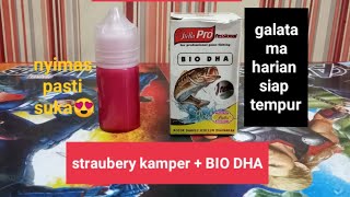 esen strawberry kamper BIO DHA untuk ikan mas galatama dan harian [upl. by Abra]