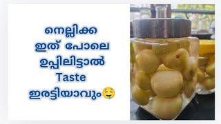 നെല്ലിക്ക ഉപ്പിലിട്ടത്നെല്ലിക്ക ഇങ്ങനെ ഉപ്പിലിട്ട് നോക്കൂnellikka uppilittathu in malayalam [upl. by Htiekram]