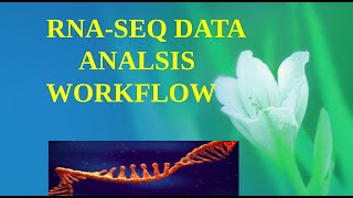 RNASEQ DATA ANALYSIS WORKFLOW  BIOINFORMATICS bioinformaticians bioinformatics rnasequencing [upl. by Notnilk]