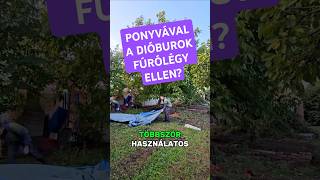 Dióburok fúrólégy ellen ponyva diófa shortsfeed kert [upl. by Costin255]