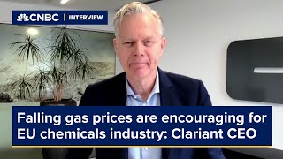 Falling gas prices are encouraging for EU chemicals industry Clariant CEO [upl. by Inus]