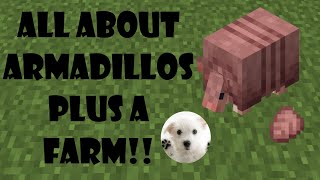 Armadillos scute and farms all you need to know [upl. by Server777]