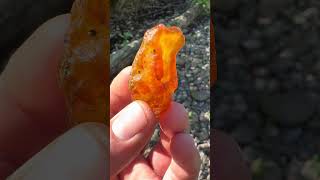 Nice carnelian with some botryoidal action carnelian agate rockhounding gemstone pnw crystals [upl. by Peedsaj]