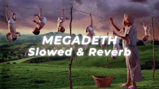 Megadeth  A Tout Le Monde Slowed and Reverb [upl. by Ppik]