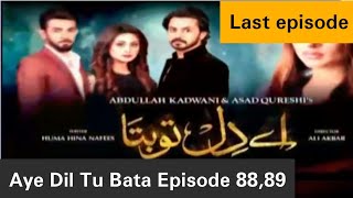 aye dil tu bata Episode 88 amp 89  last episode  Har Pal Geo [upl. by Yekcin]