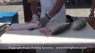 Cleaning Fish Filleting Skinning and Boning Gurnard [upl. by Ahsoek]