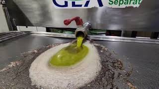 How Olive Oil is Made  Traditional Greek Extra Virgin Olive Oil Extraction Cold Press  Kalamata [upl. by Anuahs]