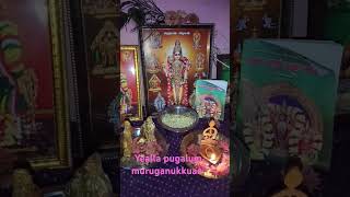 music song appan murugan song lyrics yealla pugalum muruganukku 🙏gardenflowers happygarding [upl. by Catina]