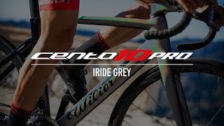 Wilier Triestina Cento10PRO  Iride Grey [upl. by Horick]