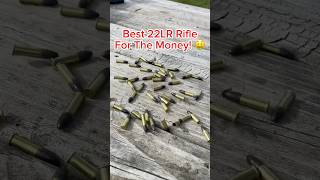 BEST 22LR Rifle To BUY [upl. by Nilek]