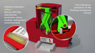 Dehn Red Line Surge Protection Devices [upl. by Notrub]