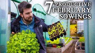 7 Most Productive Edible Crops to Sow in February [upl. by Endor283]