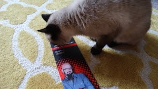 My Cats Review Jackson Galaxys Ground Prey Wand [upl. by Caia787]