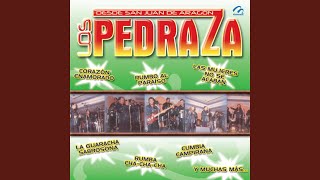 Intro Mix los Pedraza [upl. by Graner]