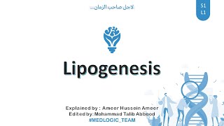 Lipogenesis Fatty Acid synthesis Part 1 [upl. by Anelat]