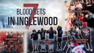 7 Dominant BloodPiru Sets In Inglewood [upl. by Jacquetta305]