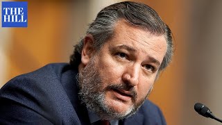 Democrats Are Afraid Of Taking This Vote Ted Cruz Blocks NDAA Vote Pursuing Russia Sanctions [upl. by Raynard]