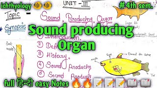 Sound producing Organ fish ichthyology 🐠🐠🐠🐠msc 4th semfull हिन्दी easy Notes 🔥🔥🔥📝📝📖 📖 [upl. by Redmund]