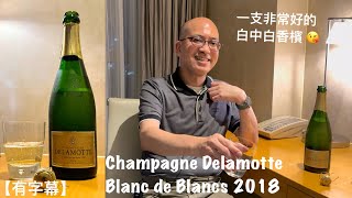 《香檳小知識》Champagne Delamotte Blanc de Blancs 2018 PMPMsLifestyle [upl. by Hershel]