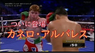 【神回】WBC世界Sウェルター級王者 カネロ・アルバレス vs ホセシト・ロペス🥊 日本語解説 ぜひ概要欄もご参照 Canelo Álvarez vs Josesito Lopez [upl. by Revilo]