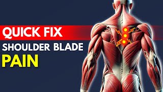 How To Fix Shoulder Blade Pain Quickly  Rhomboid Pain [upl. by Constancia]