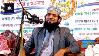 হাফিজুল বিন হাসান সিদ্দিকীর নতুন ওয়াজ Hafizul Bin Hasan Siddikir new waz 01634657602 vairalwaz [upl. by Aniram189]