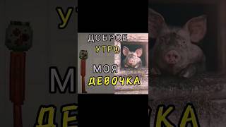 Peppa Pig and Tomato in Melonsandbox мелонплейграунд shorts tomato [upl. by Eniluap]