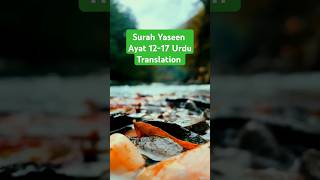 Surah Yaseen 1217 Urdu Translation alquran yaseen urdutranslation shortsfeed motivation quran [upl. by Nirre]