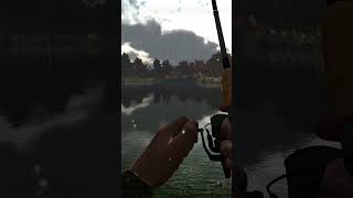 Fishing planet Catching a Redfin Trophy Pickerel [upl. by Idnem]