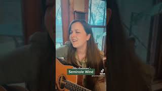 Seminole Wind  John Anderson Cover [upl. by Aletsirc484]