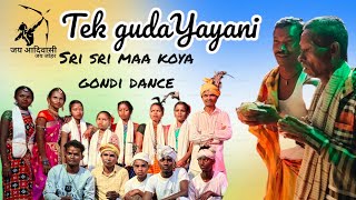 Tek guda yayani koya gondi dance kodtha pandum festival  2024Tranding reels Viral reels  kanhu [upl. by Sitelc112]