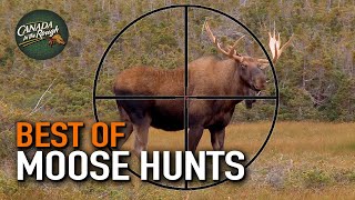 20 Moose Hunts in 20 Minutes ULTIMATE Moose Hunting Compilation  BEST OF [upl. by Klein]