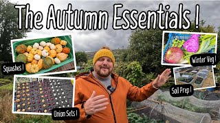 Everything you need to know for autumn planting [upl. by Yekcor657]