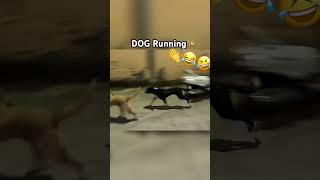 Dog runningyoutubeshortsytshortsdogdogloverfunnyvairalshort bgm [upl. by Genia931]