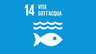 Agenda 2030 Obiettivo 14 Vita sottacqua [upl. by Lyndell]