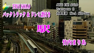 🔰【EWI SOLO】ドレミ譜バックトラック付き 「駅」 [upl. by Salema387]