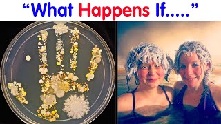 People Are Sharing “What Happens If…” So You Don’t Have To Keep Wondering [upl. by Starlene]