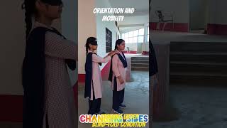 orientation and mobility training changing sighted guide techniques [upl. by Park]