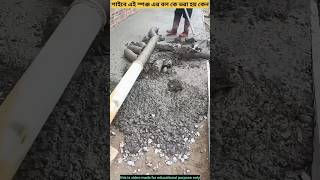 Why sponge ball insert in concrete pipe facts ytstudieo reels youtuberlife vairalshort [upl. by Donnelly551]